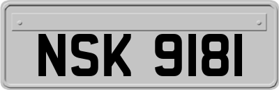 NSK9181