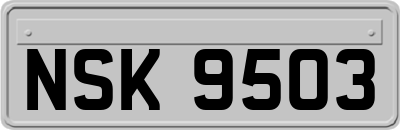 NSK9503