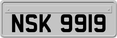 NSK9919