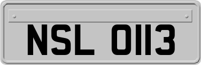 NSL0113