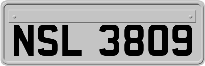 NSL3809