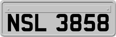 NSL3858
