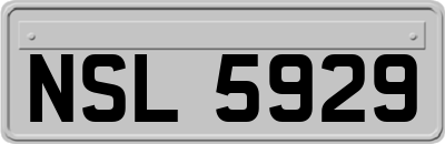 NSL5929