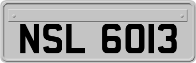 NSL6013