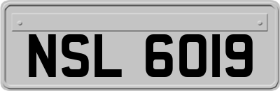 NSL6019