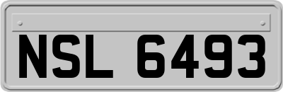 NSL6493