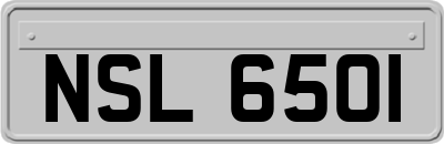 NSL6501