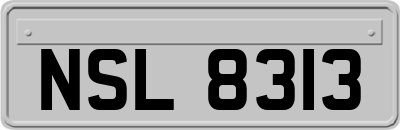 NSL8313