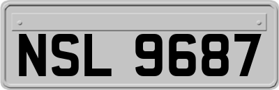 NSL9687