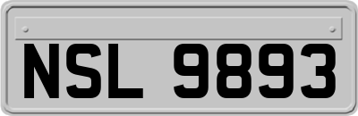 NSL9893