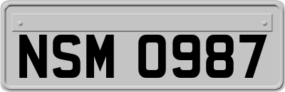 NSM0987