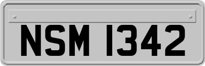 NSM1342