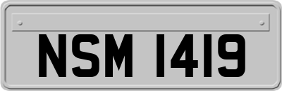 NSM1419
