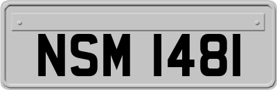NSM1481