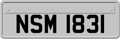 NSM1831