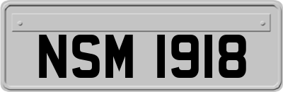 NSM1918