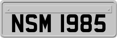 NSM1985