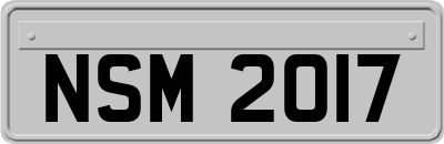 NSM2017