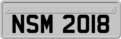 NSM2018