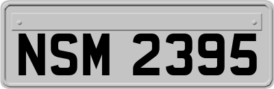 NSM2395