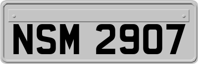 NSM2907
