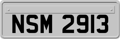 NSM2913