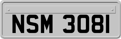 NSM3081