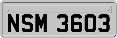 NSM3603