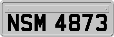NSM4873