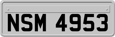 NSM4953