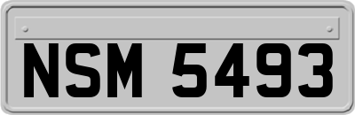 NSM5493