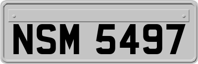 NSM5497
