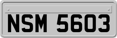 NSM5603