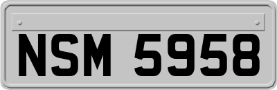 NSM5958