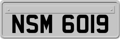 NSM6019