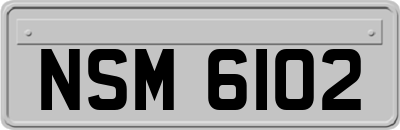 NSM6102