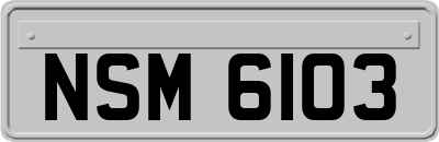 NSM6103