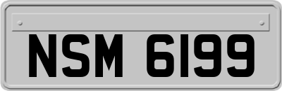 NSM6199
