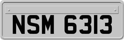 NSM6313