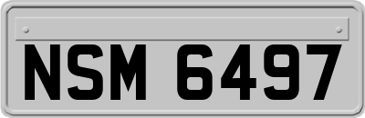NSM6497