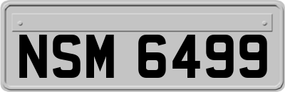 NSM6499