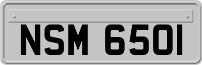NSM6501