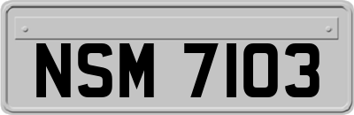 NSM7103