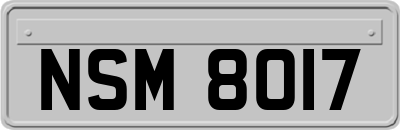 NSM8017