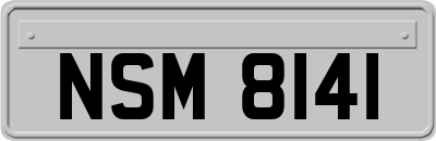 NSM8141