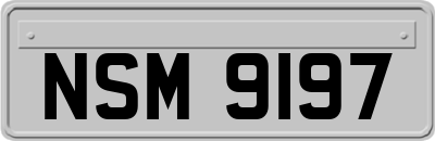 NSM9197