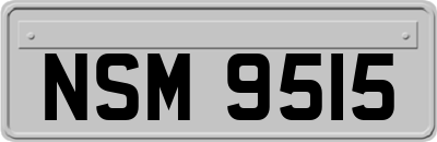 NSM9515