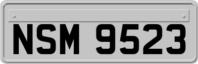 NSM9523