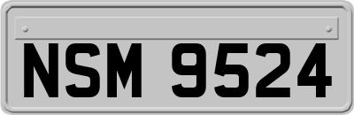 NSM9524