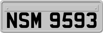 NSM9593